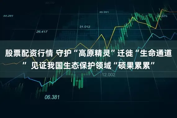 股票配资行情 守护“高原精灵”迁徙“生命通道” 见证我国生态保护领域“硕果累累”