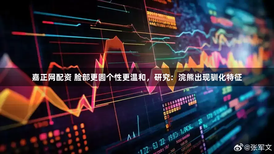 嘉正网配资 脸部更圆个性更温和，研究：浣熊出现驯化特征